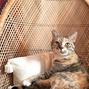 Meet your Posher, Caileigh